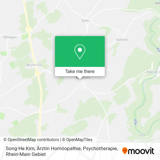 Карта Song-He Kim, Ärztin Homöopathie, Psychotherapie