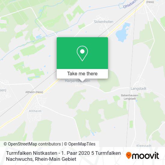 Карта Turmfalken Nistkasten - 1. Paar 2020 5 Turmfalken Nachwuchs