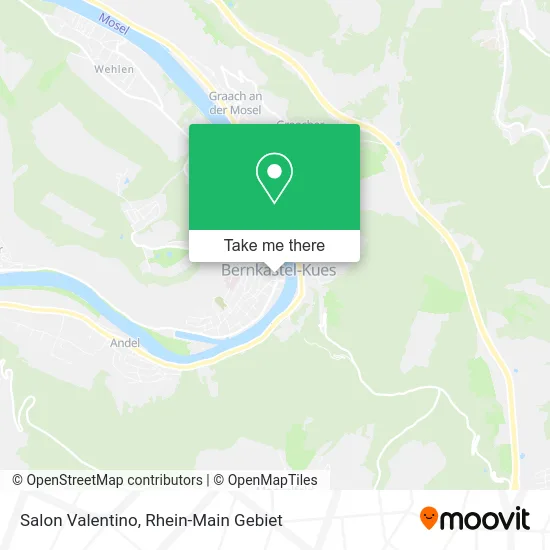 Карта Salon Valentino