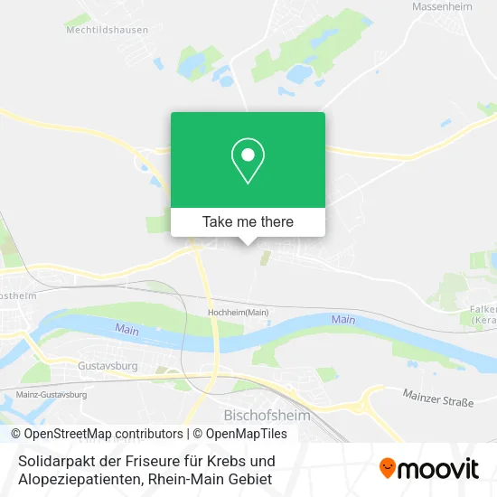 Карта Solidarpakt der Friseure für Krebs und Alopeziepatienten