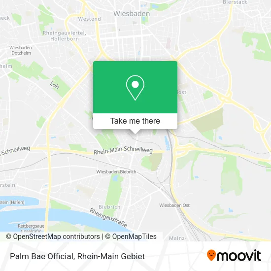 Palm Bae Official map