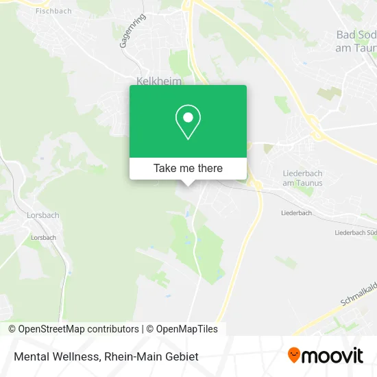 Карта Mental Wellness