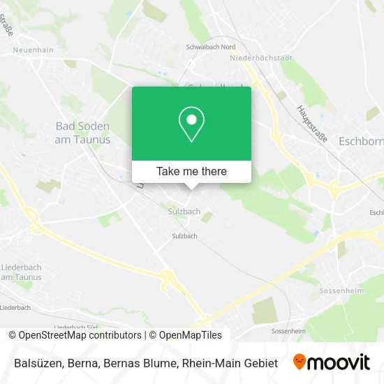 Карта Balsüzen, Berna, Bernas Blume