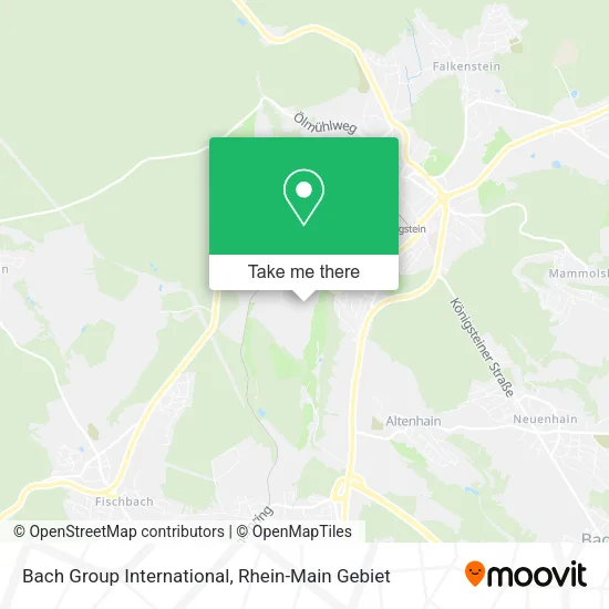 Карта Bach Group International