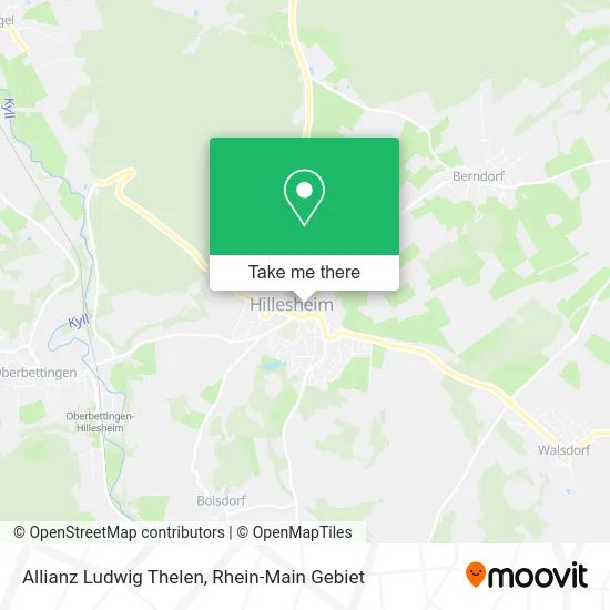 Карта Allianz Ludwig Thelen