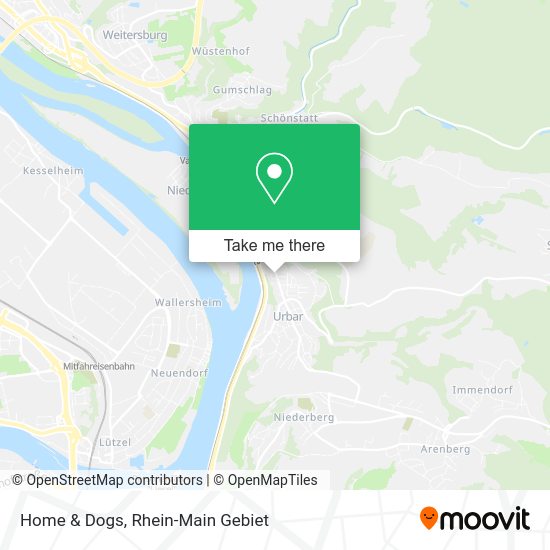 Карта Home & Dogs