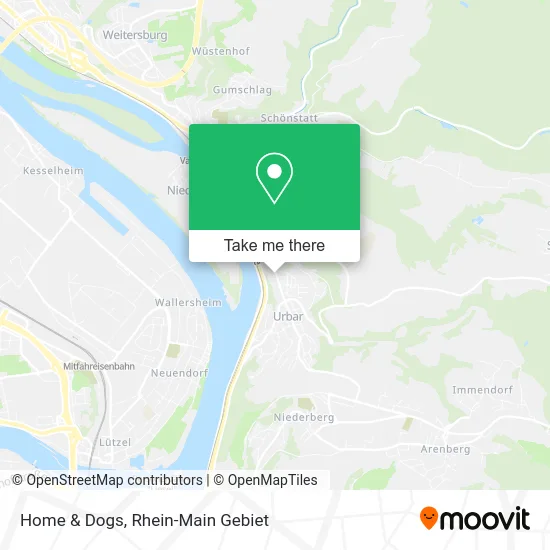 Карта Home & Dogs
