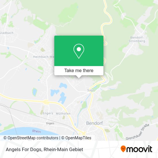 Карта Angels For Dogs