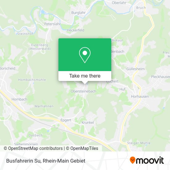 Карта Busfahrerin Su