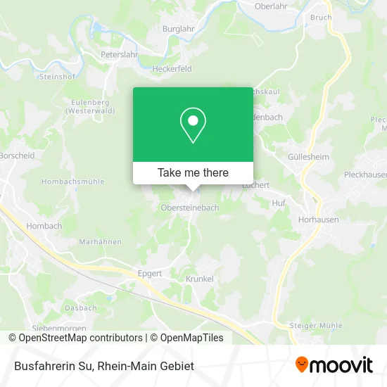 Карта Busfahrerin Su