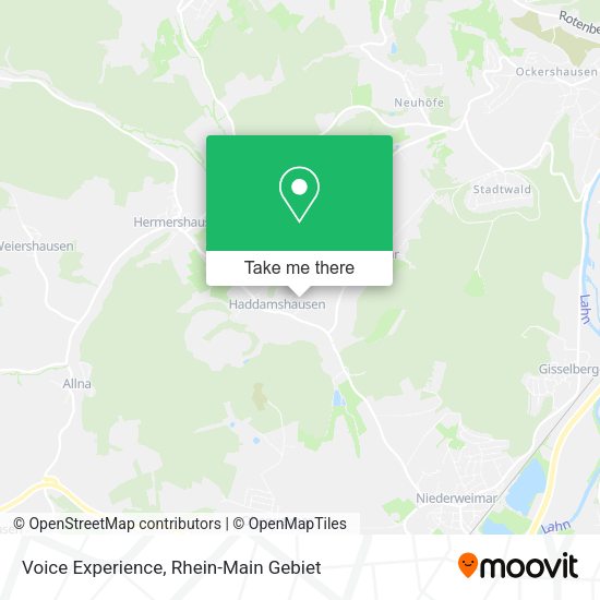 Карта Voice Experience
