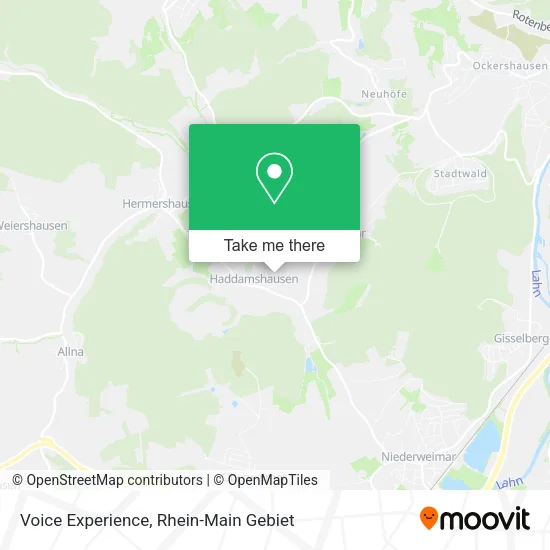Карта Voice Experience