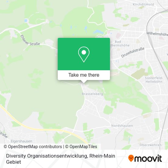 Карта Diversity Organisationsentwicklung