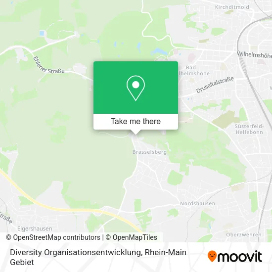 Карта Diversity Organisationsentwicklung