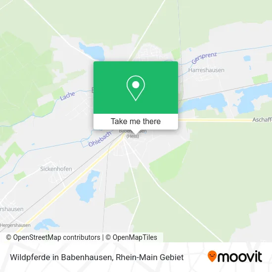 Карта Wildpferde in Babenhausen