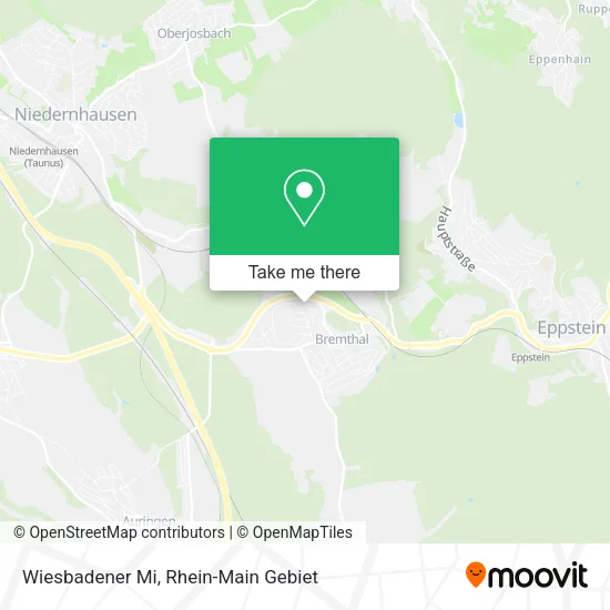 Карта Wiesbadener Mi