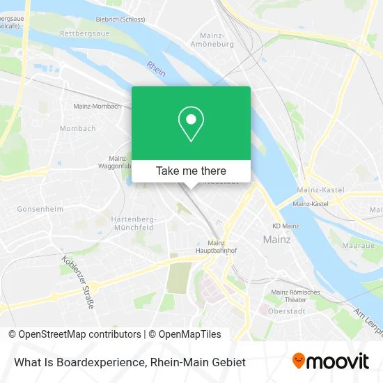 What Is Boardexperience map