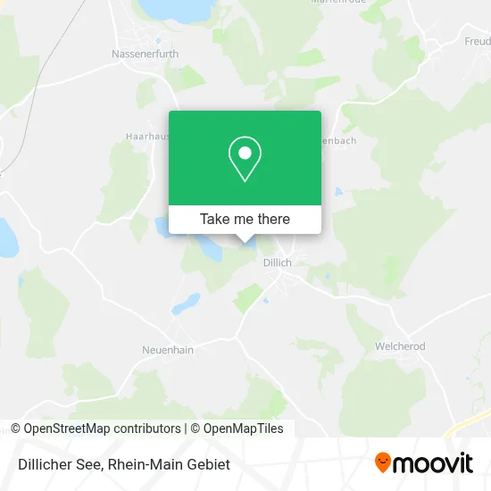 Dillicher See map