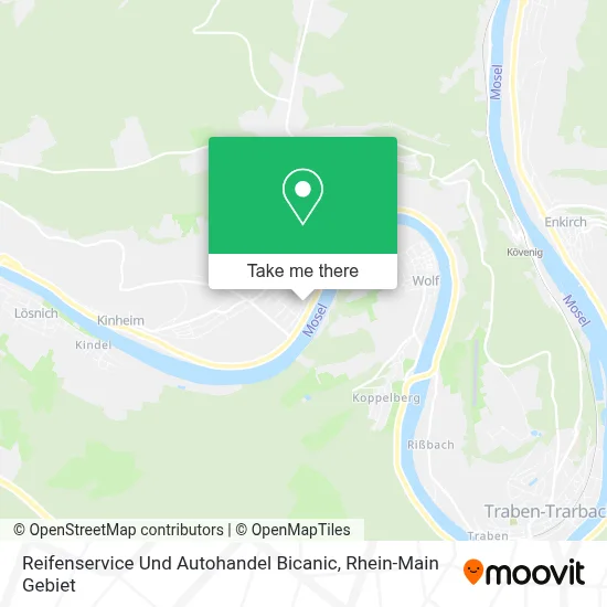 Reifenservice Und Autohandel Bicanic map