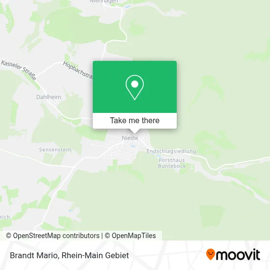 Brandt Mario map