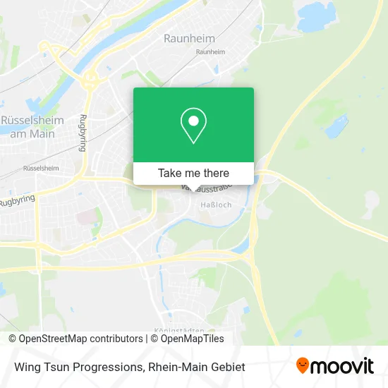 Wing Tsun Progressions map