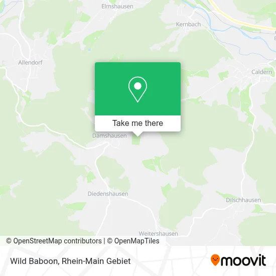 Wild Baboon map
