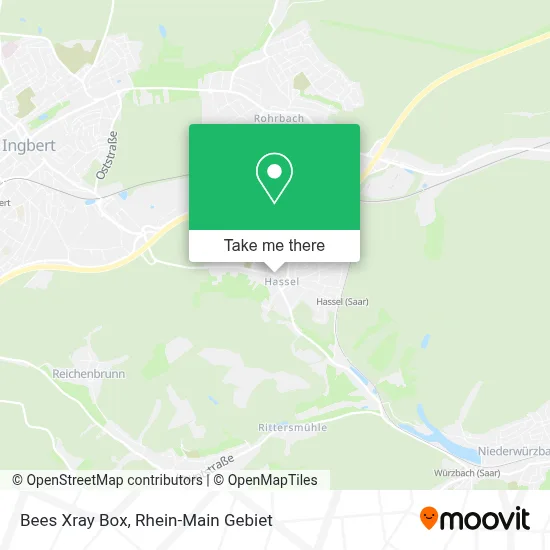 Bees Xray Box map