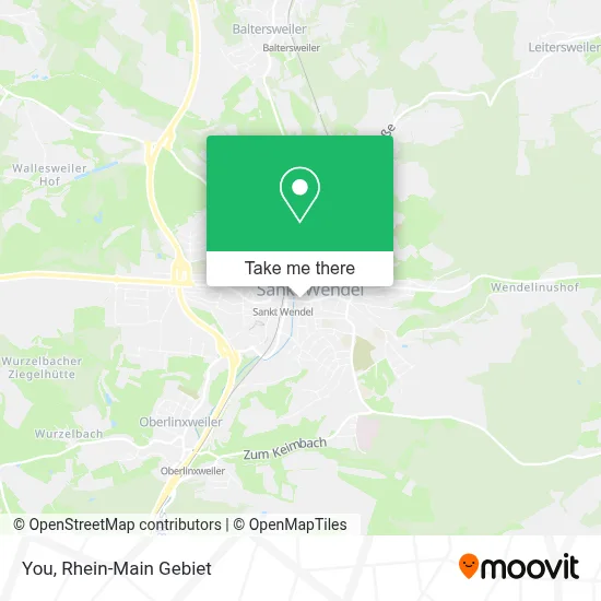 You map