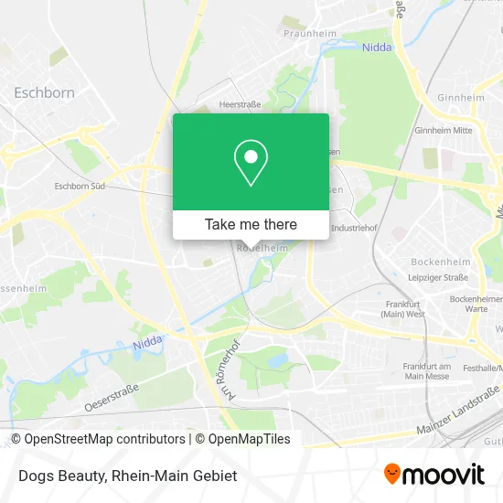 Dogs Beauty map