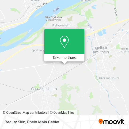 Beauty Skin map