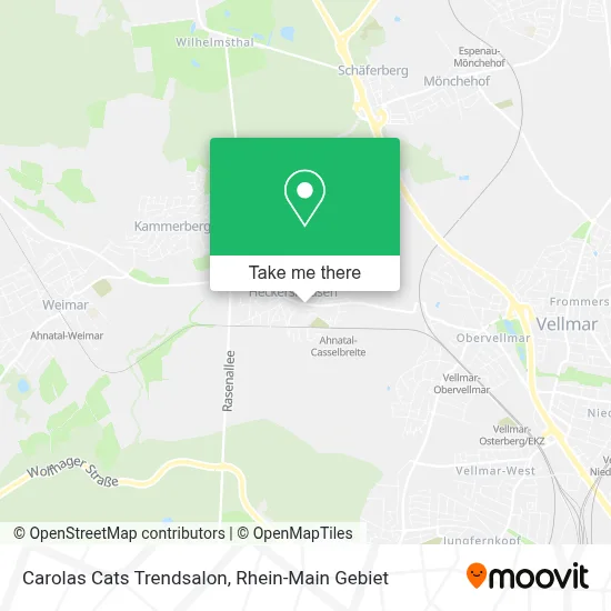 Carolas Cats Trendsalon map