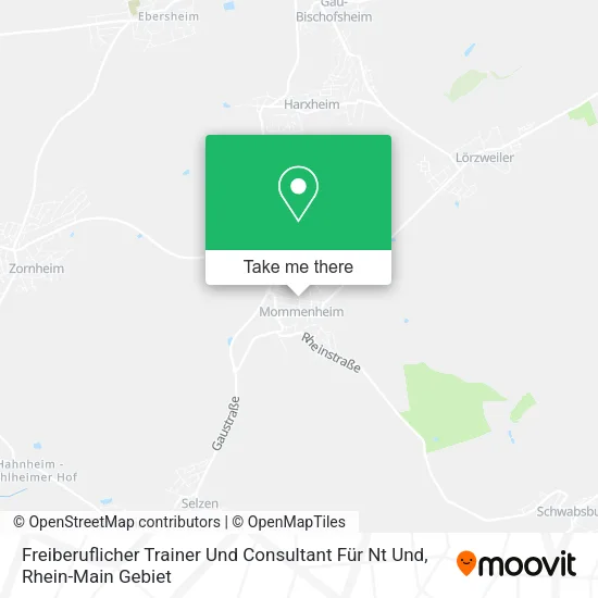 Карта Freiberuflicher Trainer Und Consultant Für Nt Und