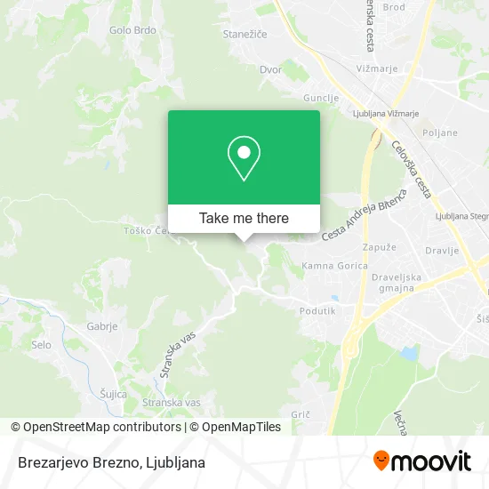 Brezarjevo Brezno map