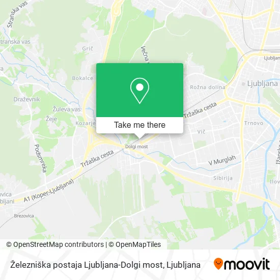 Železniška postaja Ljubljana-Dolgi most map
