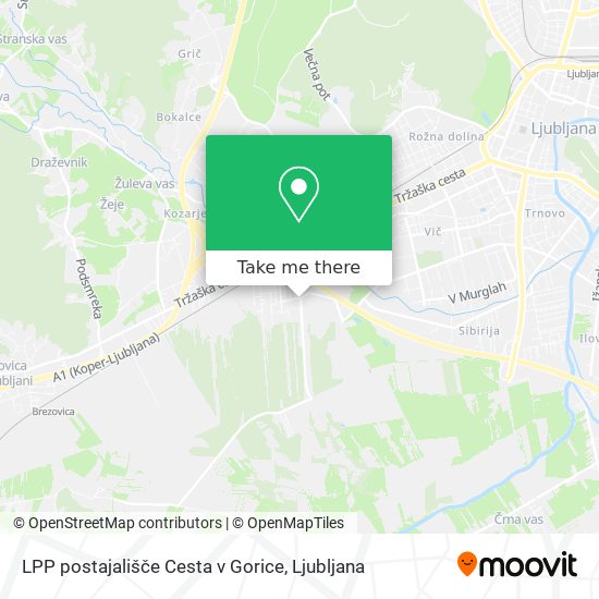 LPP postajališče Cesta v Gorice map