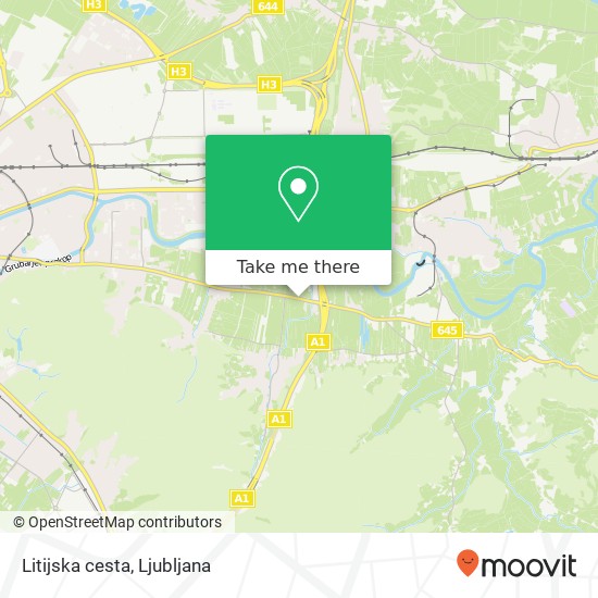 Litijska cesta map