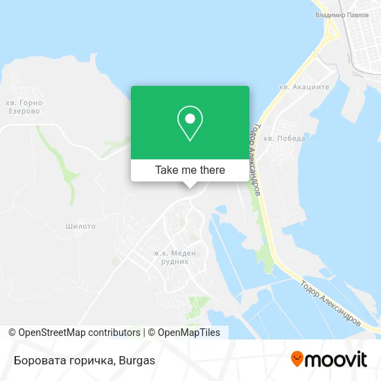 Боровата горичка map