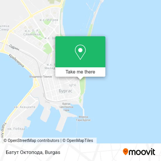 Карта Батут Октопода