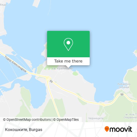 Кокошките map