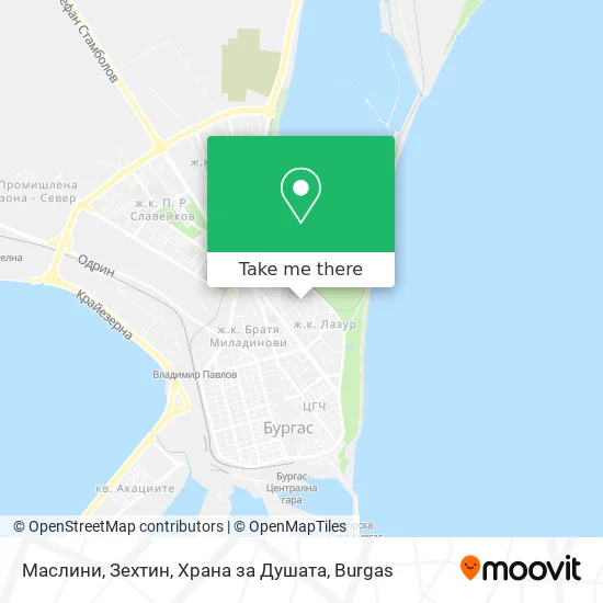 Карта Маслини, Зехтин, Храна за Душата