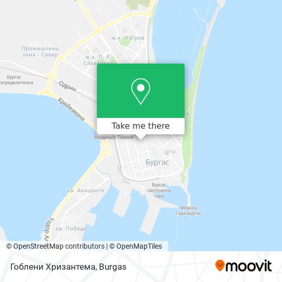 Гоблени Хризантема map