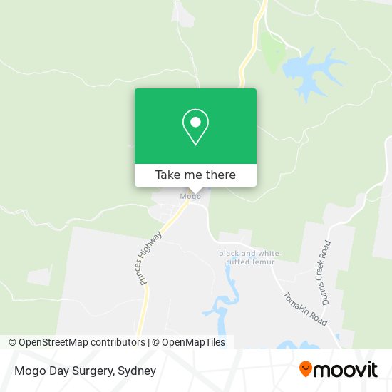 Mogo Day Surgery map