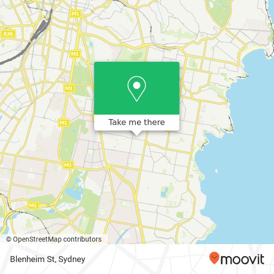 Blenheim St map