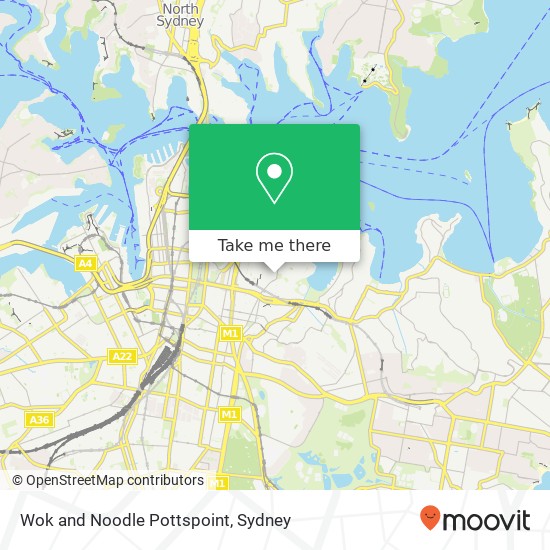 Wok and Noodle Pottspoint map