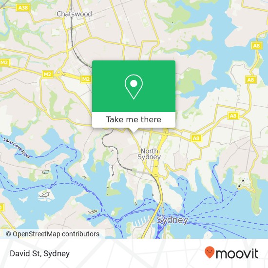 Mapa David St