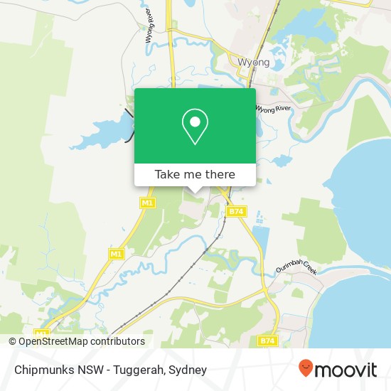 Chipmunks NSW - Tuggerah map