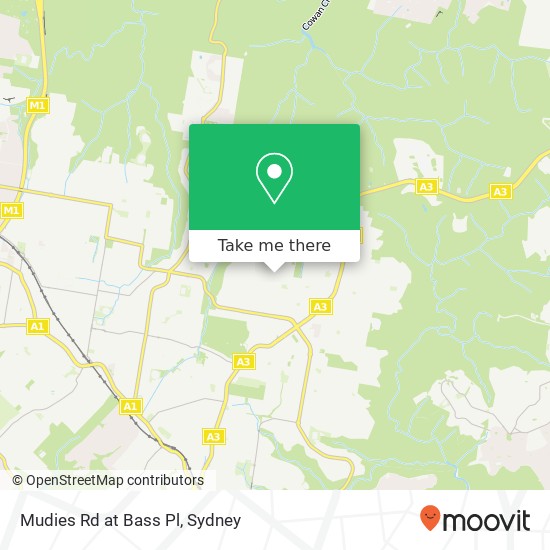 Mudies Rd at Bass Pl map