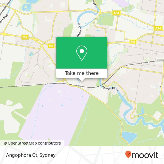 Angophora Ct map