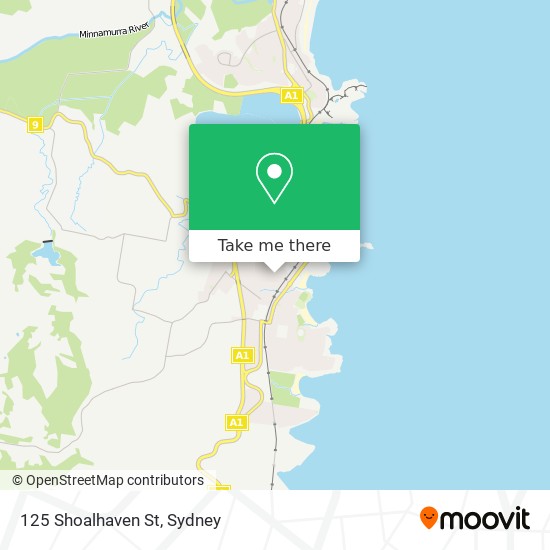 125 Shoalhaven St map