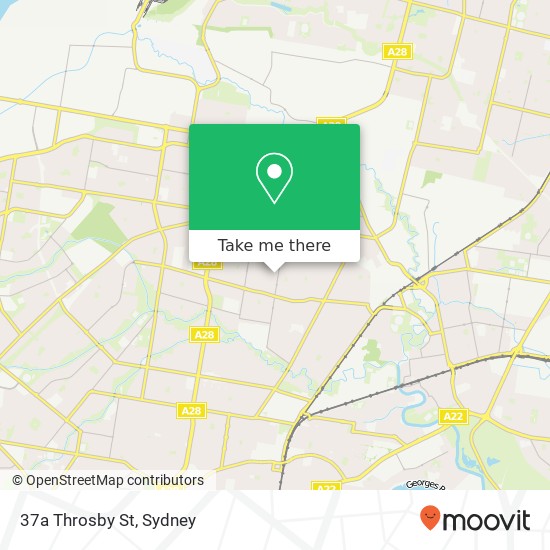 37a Throsby St map